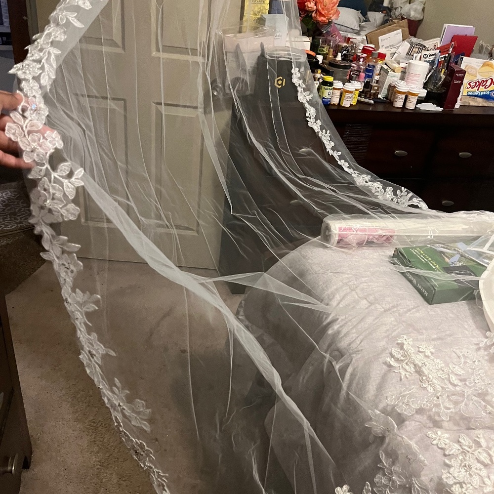 Wedding veil and headpiece